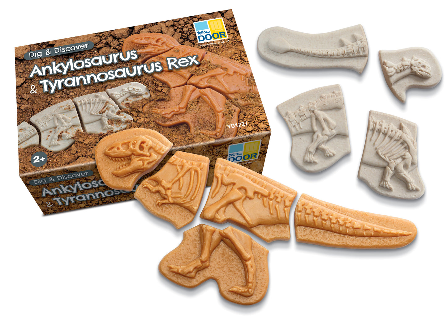 Áss és fedezz fel – Ankylosaurus és Tyrannosaurus Rex