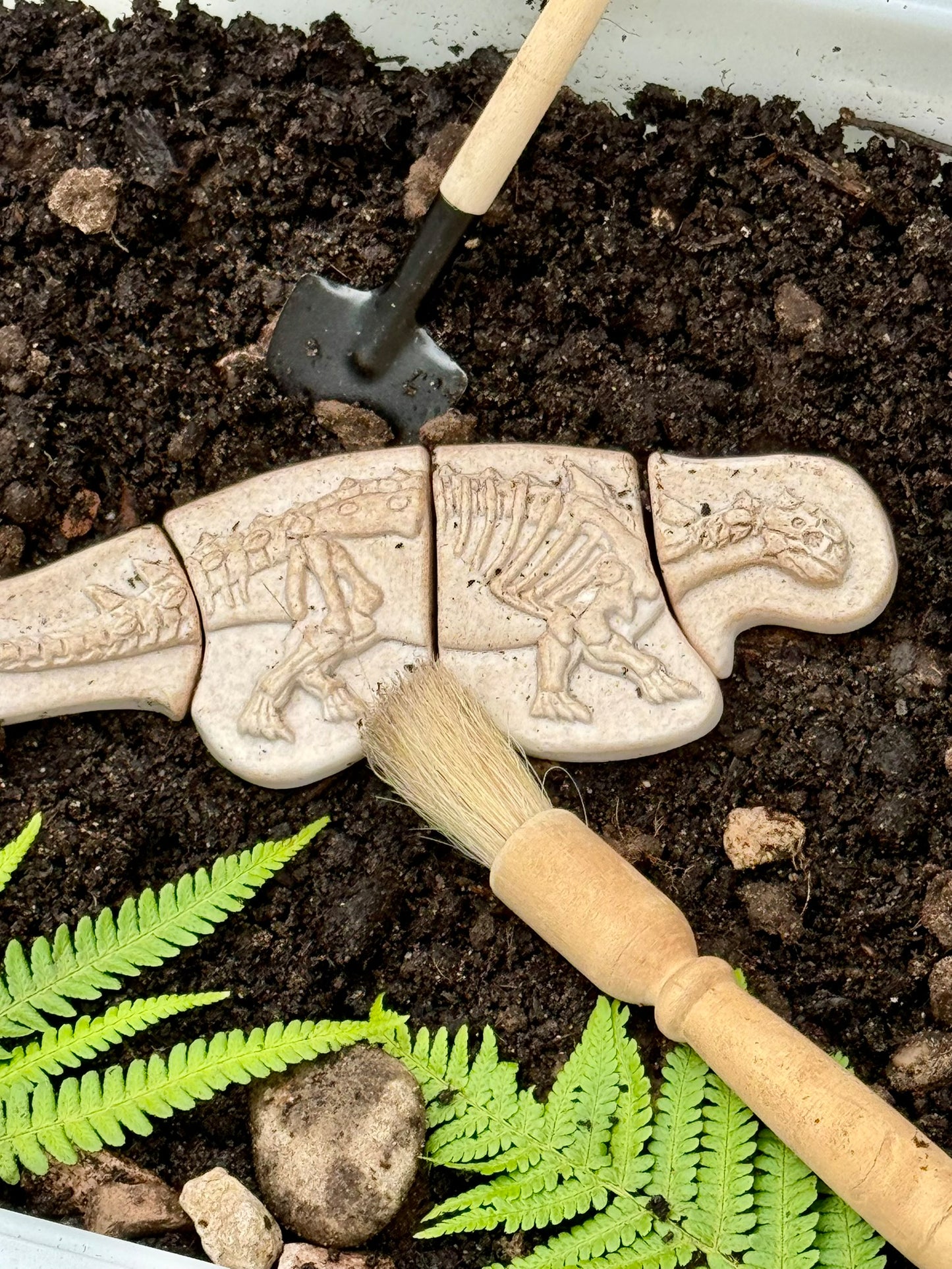 Áss és fedezz fel – Ankylosaurus és Tyrannosaurus Rex