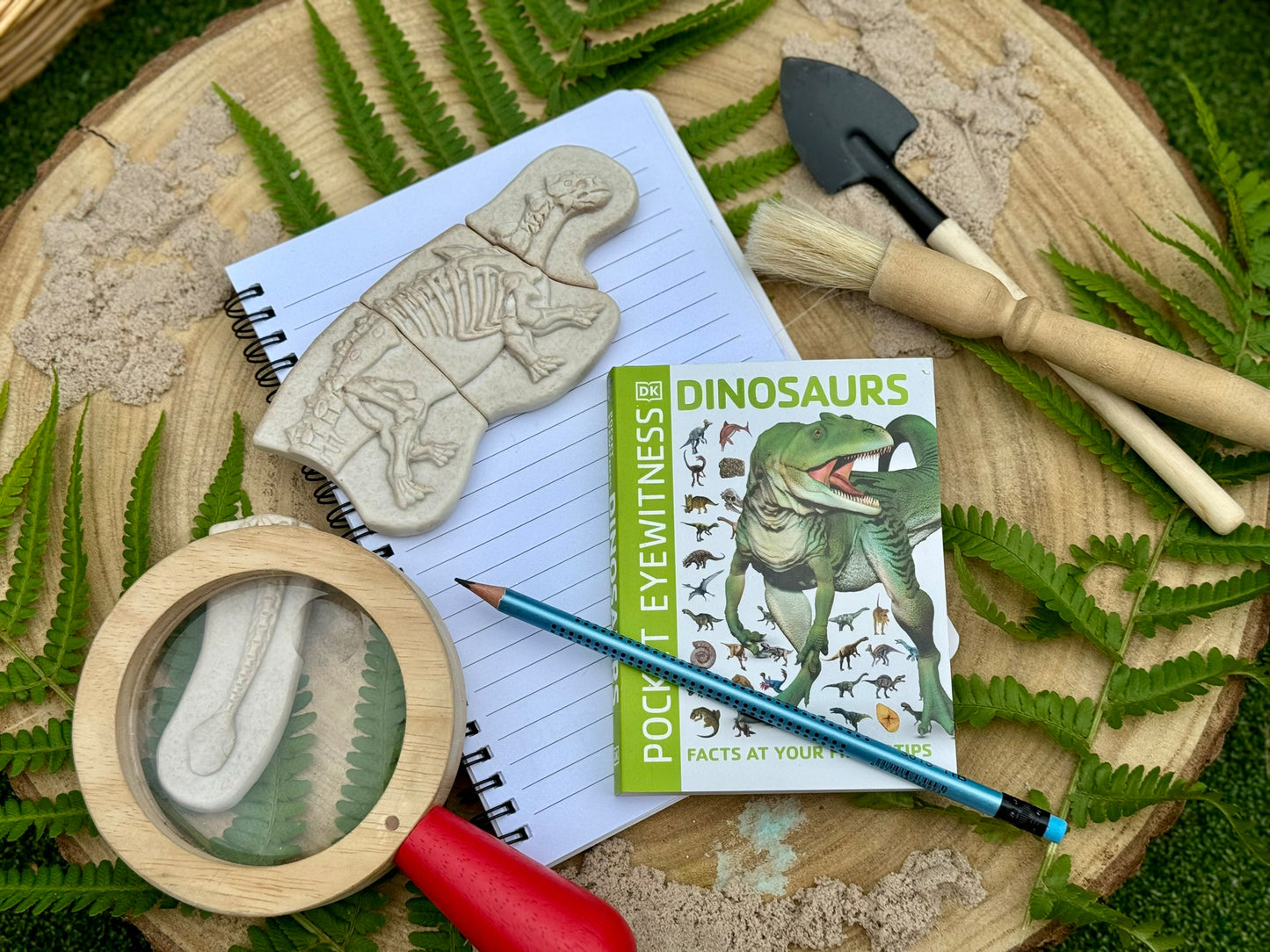 Áss és fedezz fel – Ankylosaurus és Tyrannosaurus Rex