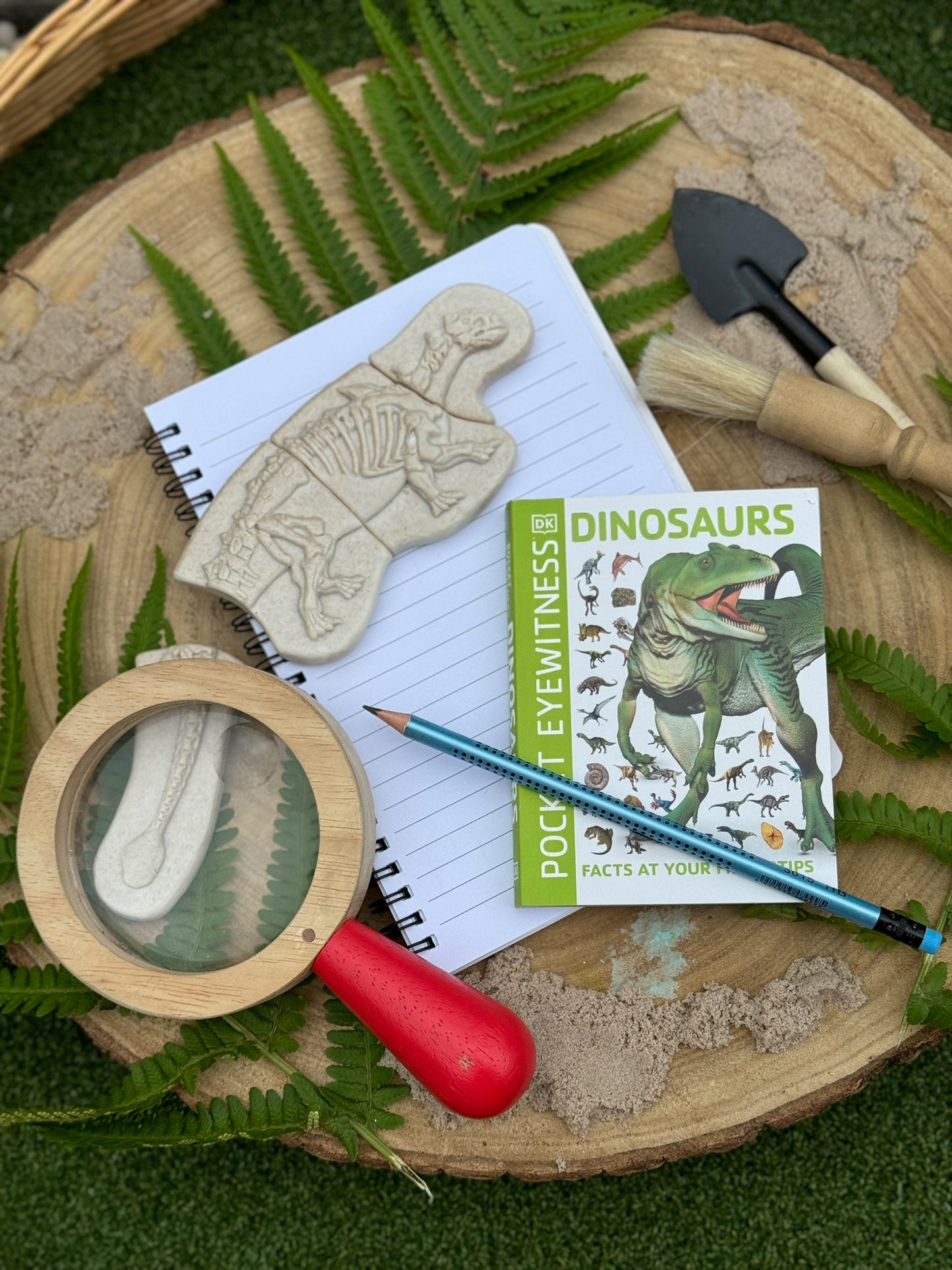 Áss és fedezz fel – Ankylosaurus és Tyrannosaurus Rex