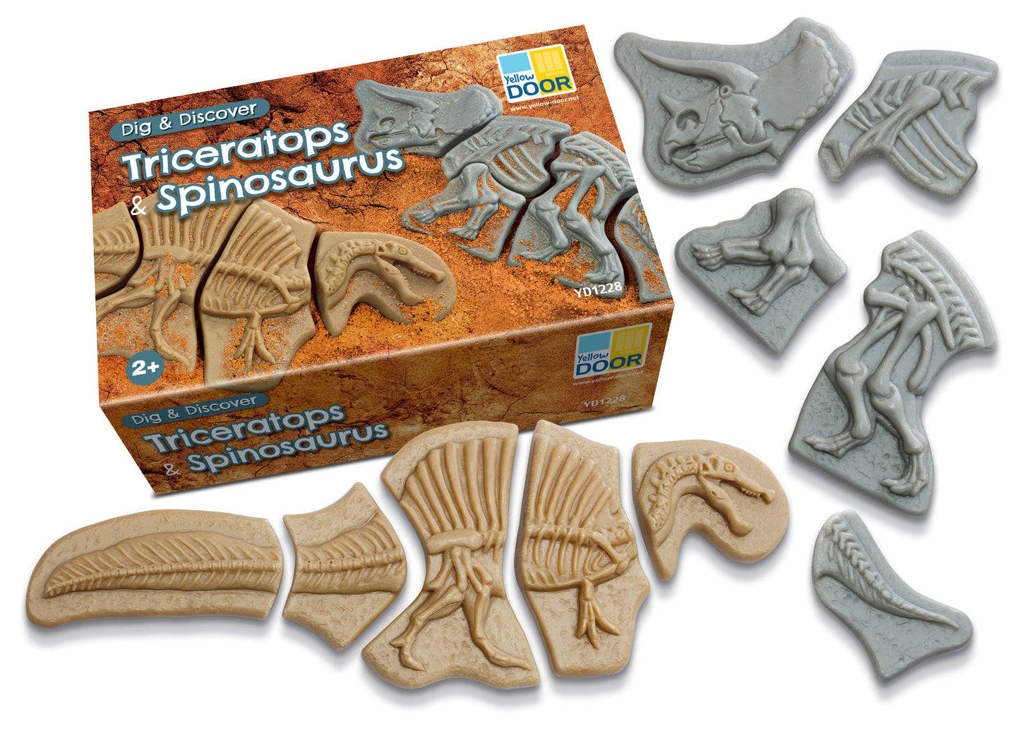 Áss és fedezz fel – Triceratops és Spinosaurus