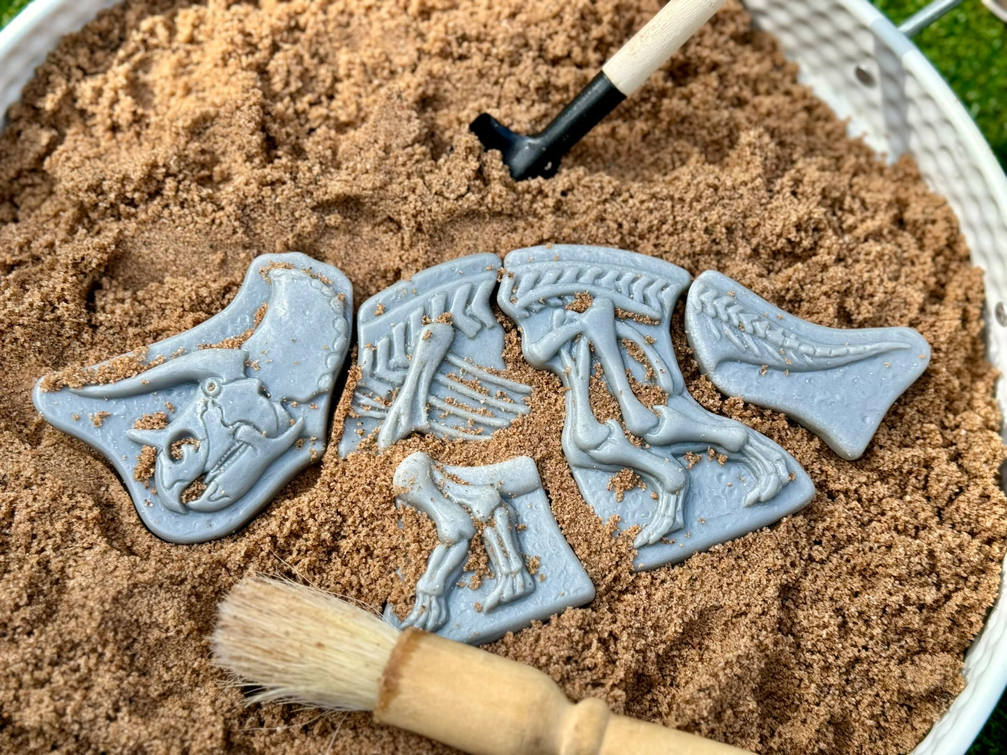 Áss és fedezz fel – Triceratops és Spinosaurus