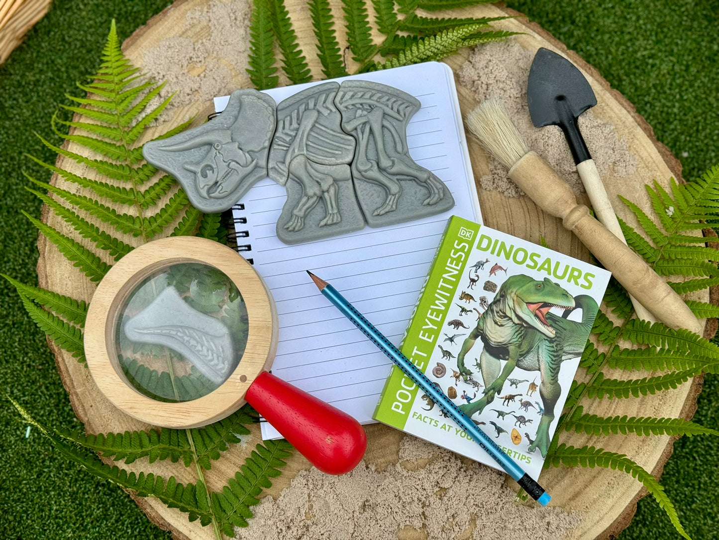 Áss és fedezz fel – Triceratops és Spinosaurus