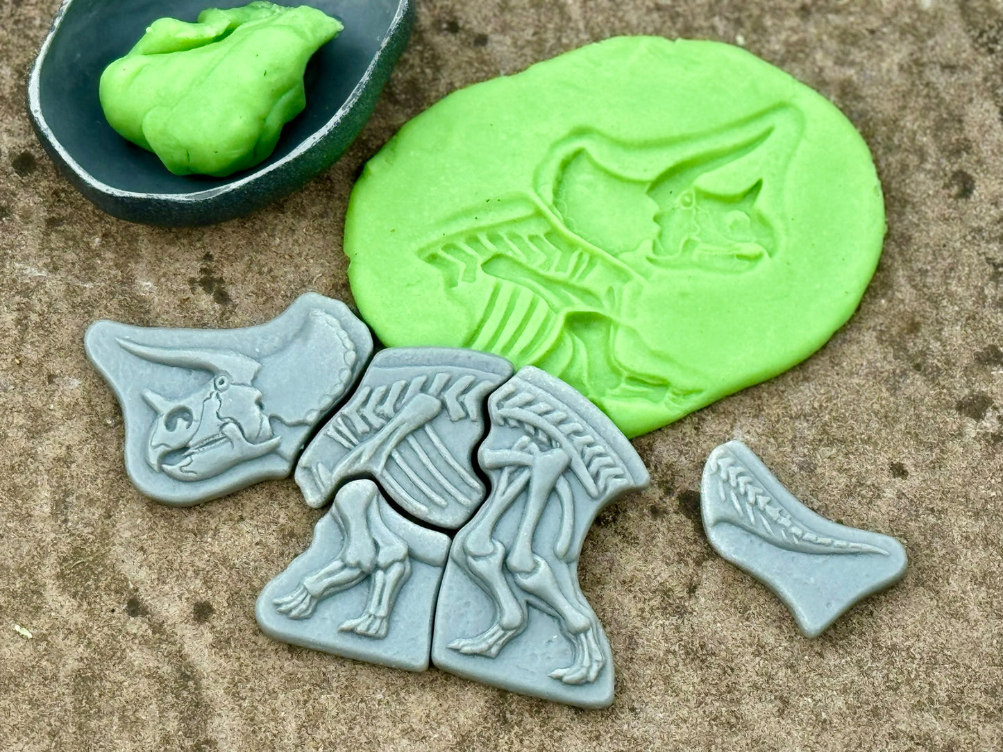Áss és fedezz fel – Triceratops és Spinosaurus