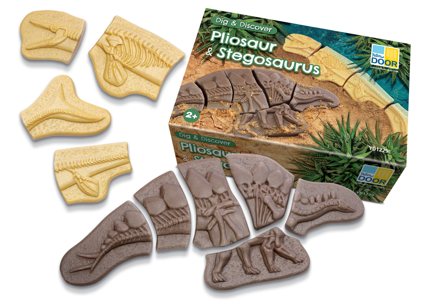 Áss és fedezz fel - Pliosaurus és Stegosaurus