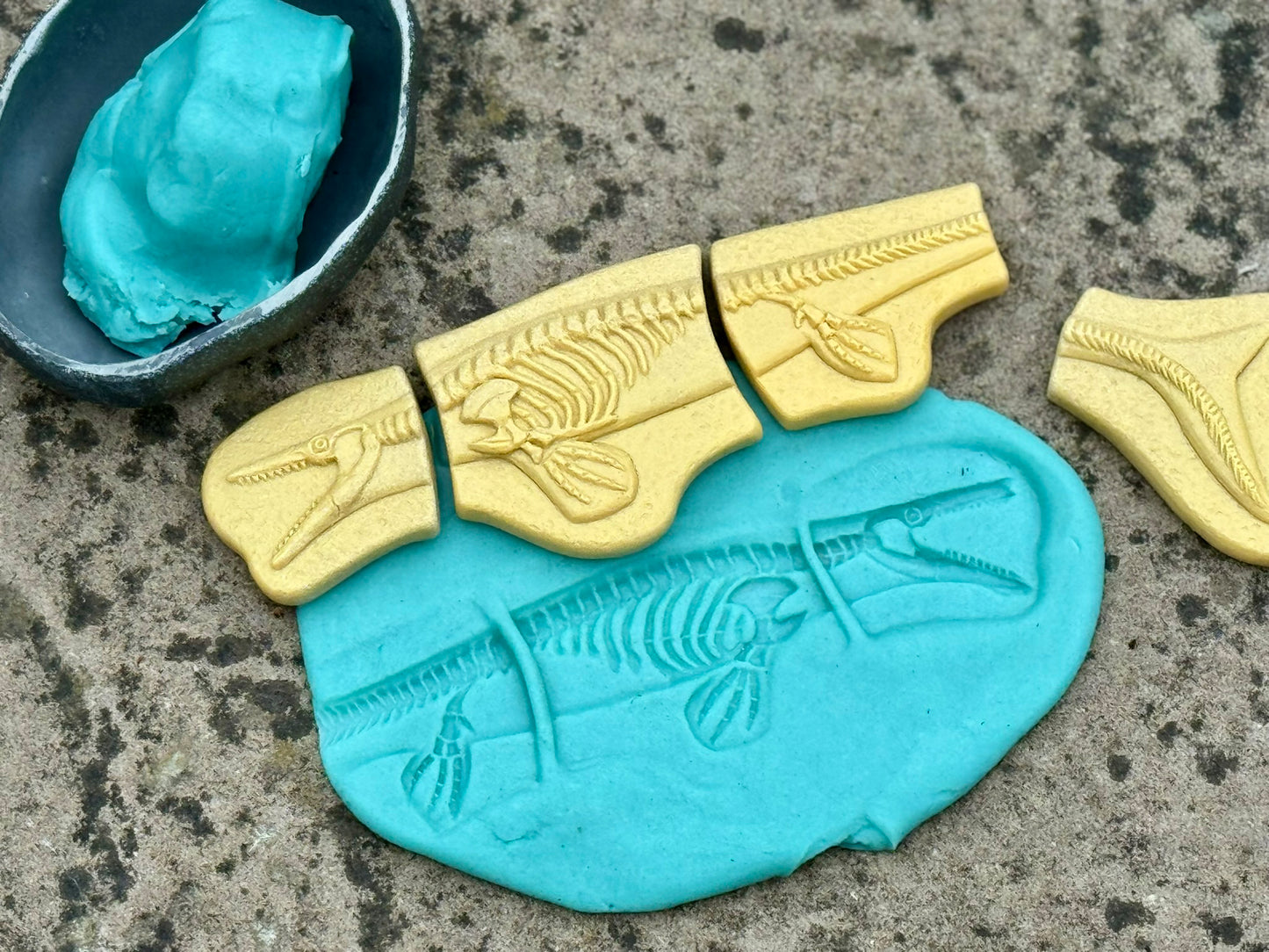Áss és fedezz fel - Pliosaurus és Stegosaurus