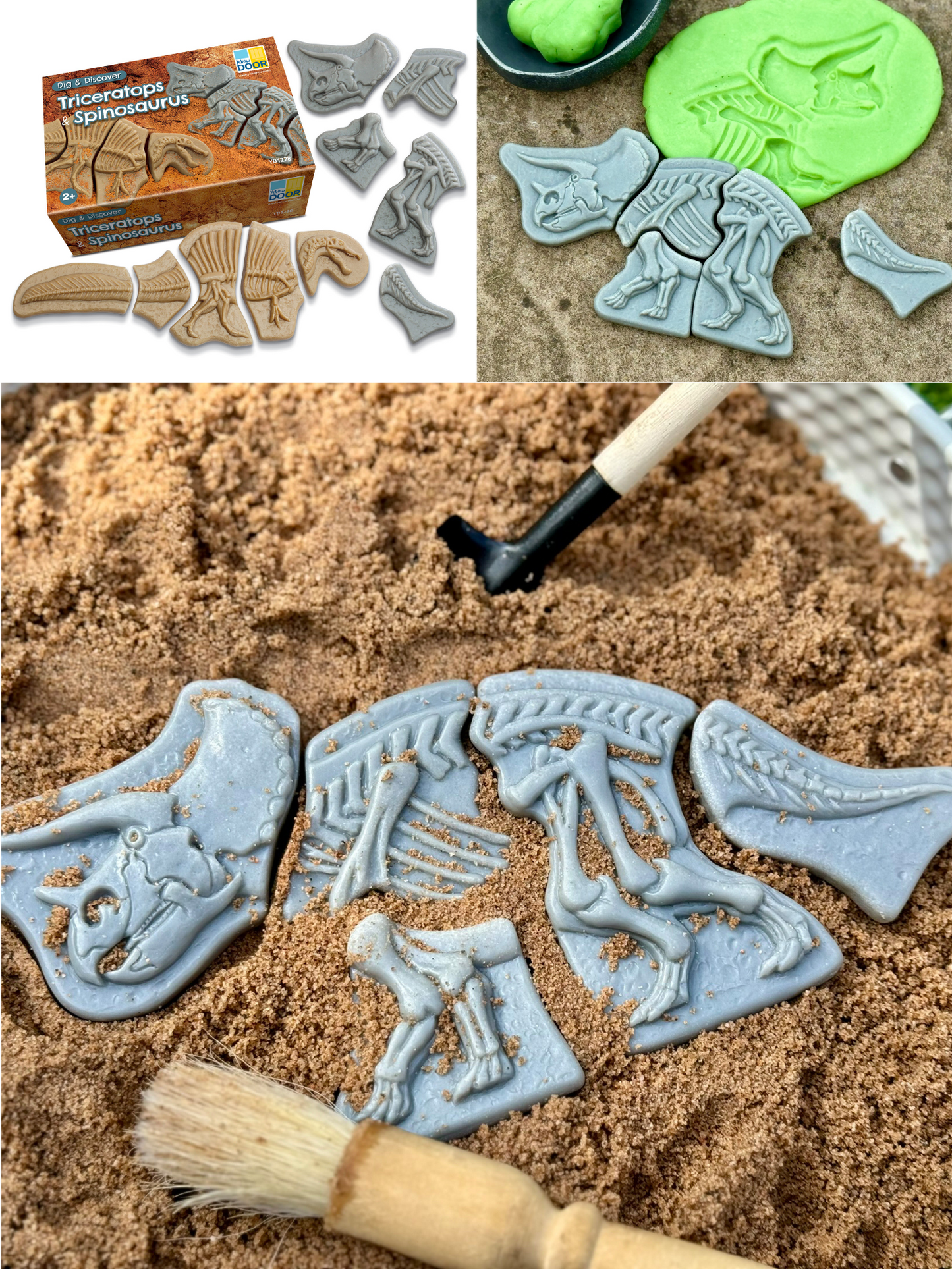 Áss és fedezz fel – Triceratops és Spinosaurus